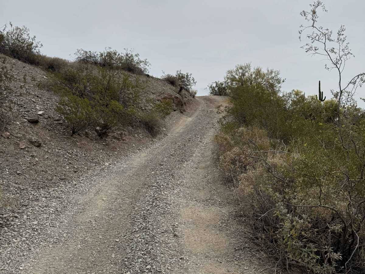 Abandoned Mine Trail - 24010 photo 5