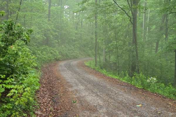 Old Highway Road - FS 311