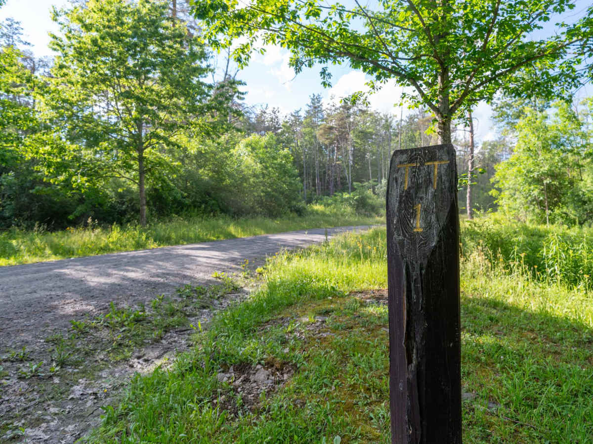 Truck Trail 1 photo 5