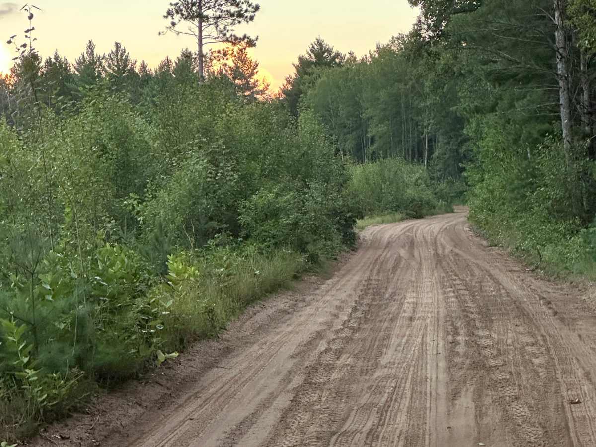 Barney Lake Road photo 5