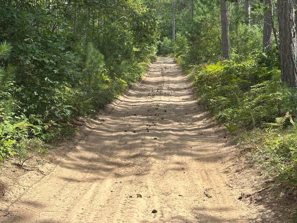 Pond Loop photo 3