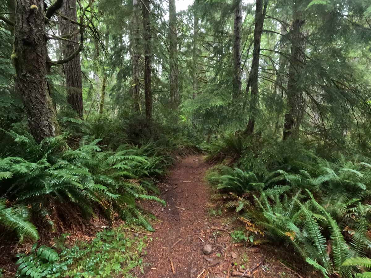 UB Lost Trail trail photo