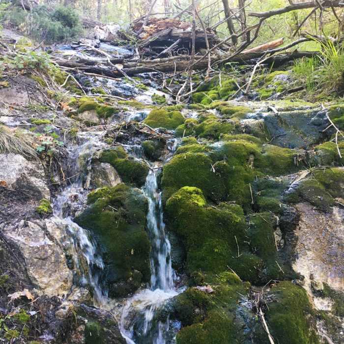 Near Domingo Baca Trail / TWA Flight 260 crash site