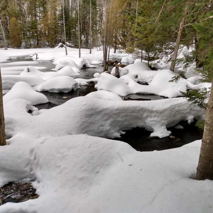 Near MOC Trail