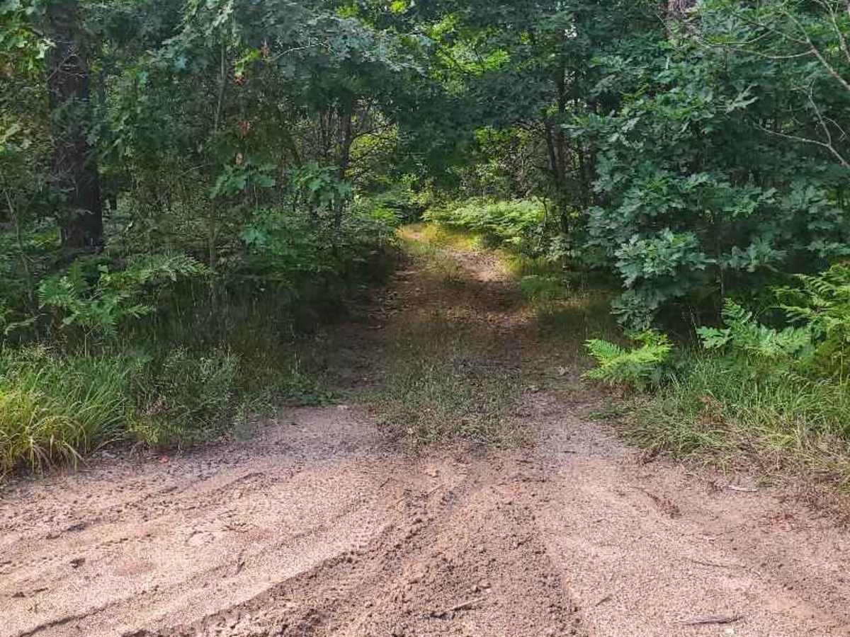 South Branch of Twin Creek Trail trail photo