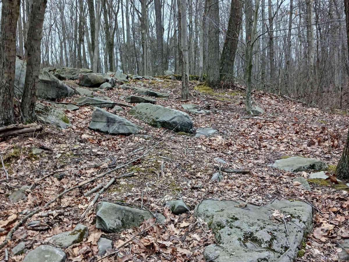 OHV 56 - Rock Run Recreation Area photo 4