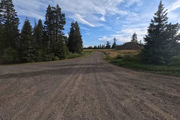 Skyline Road - FS 31