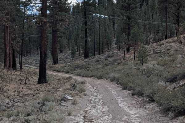 Pumice Canyon - FS 3S41