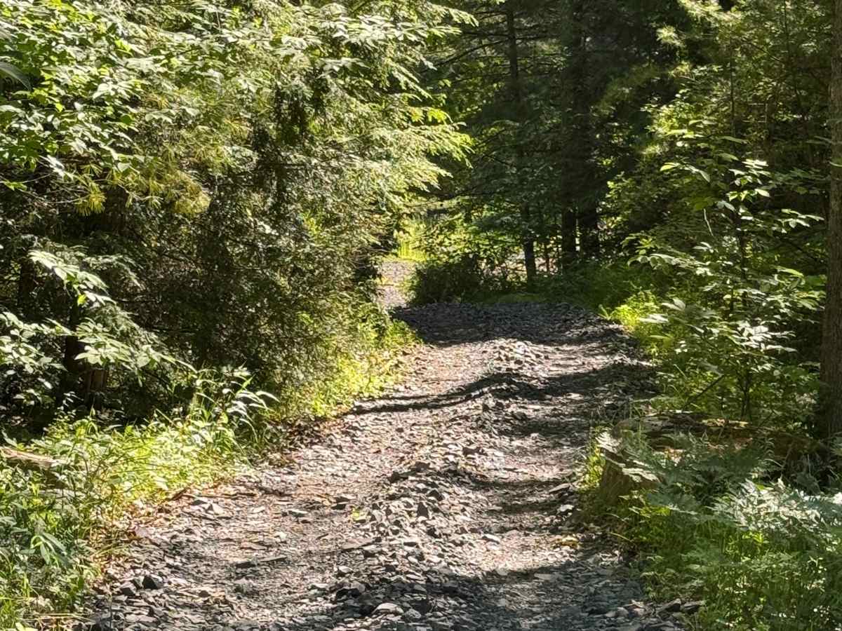Play Pit Trail photo 3