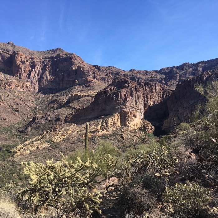 Near Bull Pasture/ Estes Canyon Loop Trail