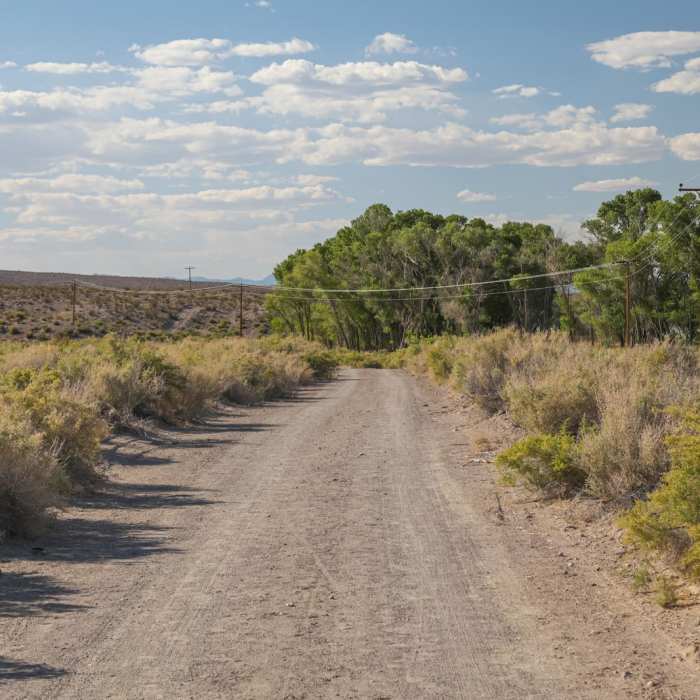 Near Upper Lake Trail Near Upper Lake Trail