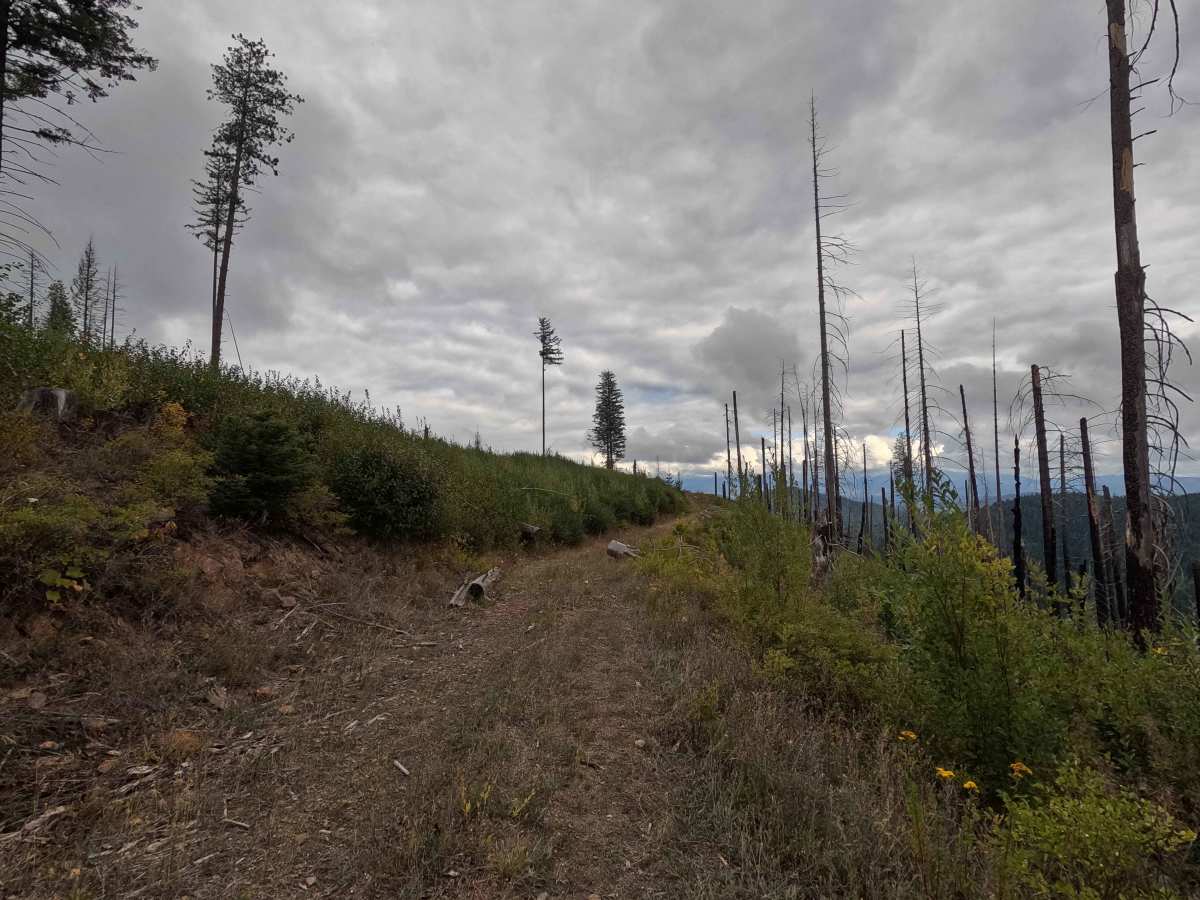 Solo Creek G - FS 659G photo 2