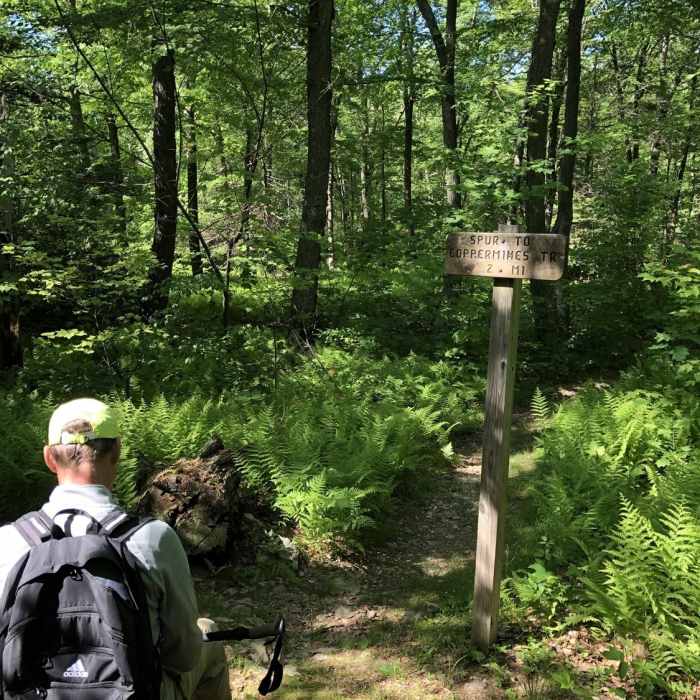 Look out for the shortcut to the copper mine trail Near AT / Kaiser Trail / Coppermine Trail