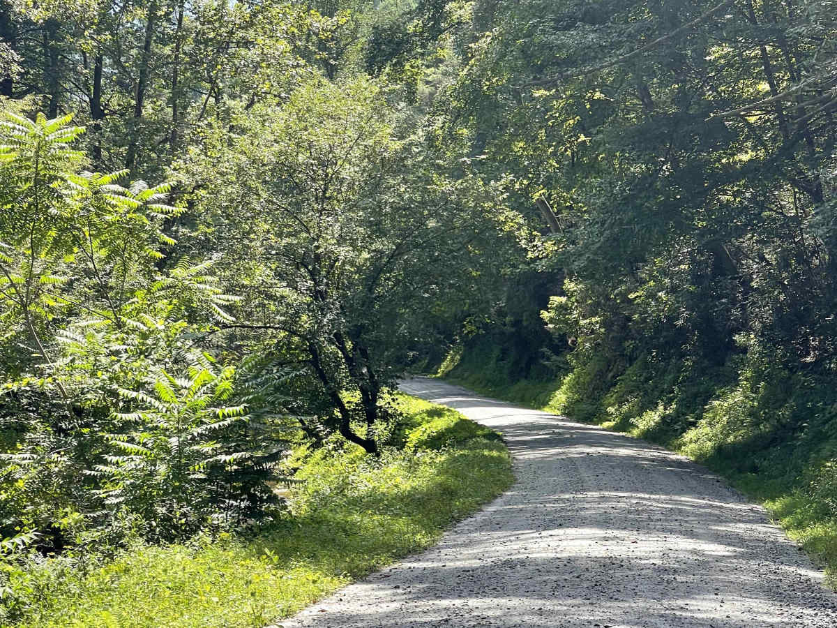 Mulberry Creek Road photo 2