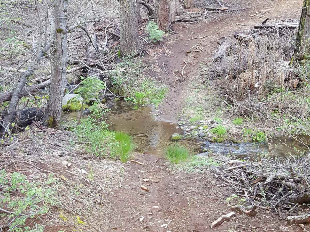 Browns Trail - FS 23E285 photo 5