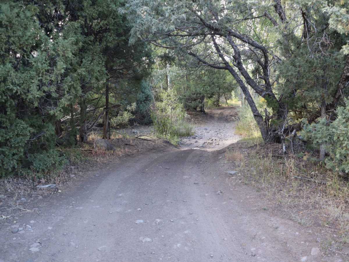 Schrader Creek trail photo