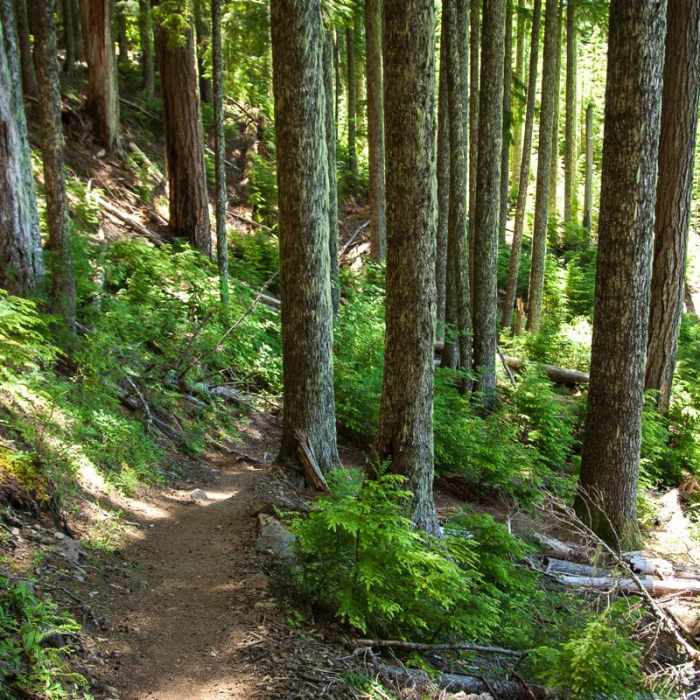 Near Table Rock Hike