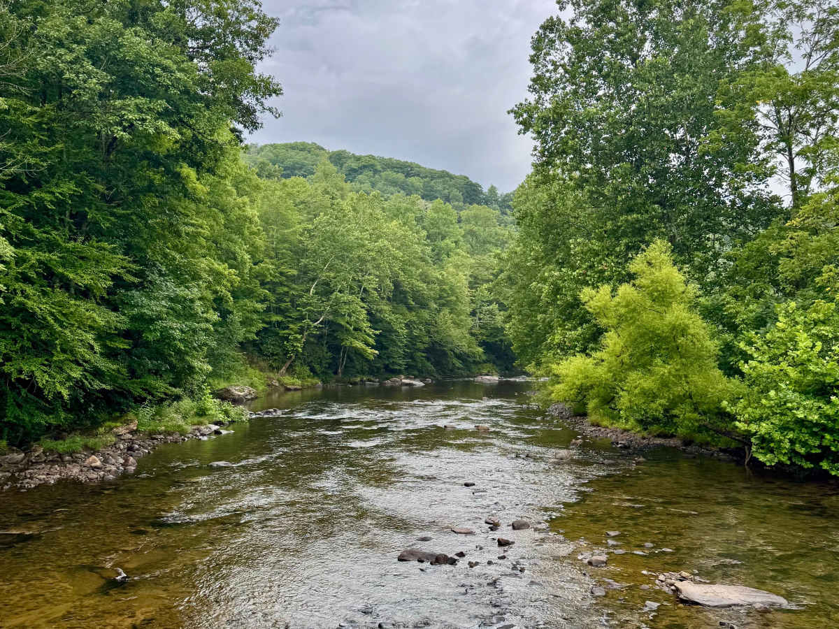 Gauley River - FS 234 photo 5