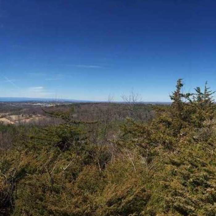 Near Sucker Brook Hollow Trail