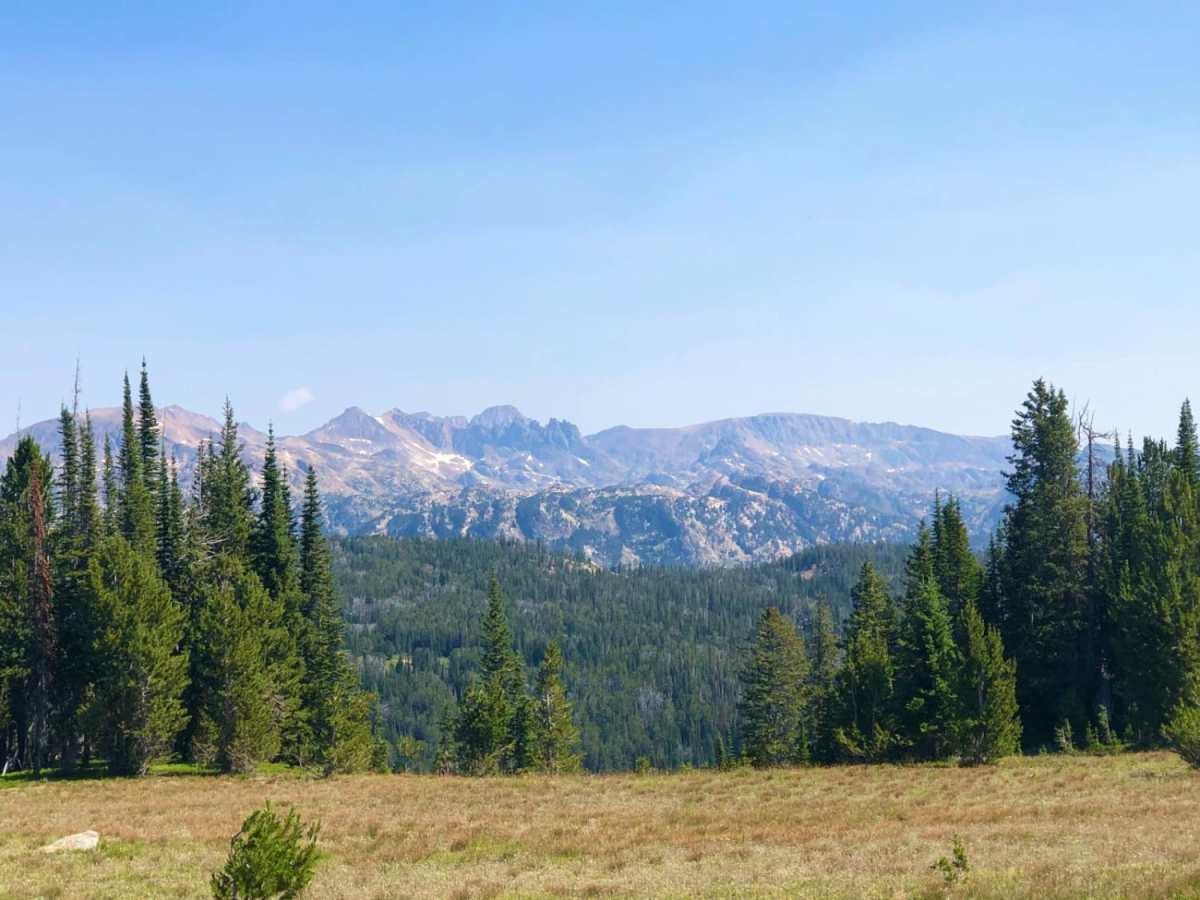 Henderson Mountain Road photo 2