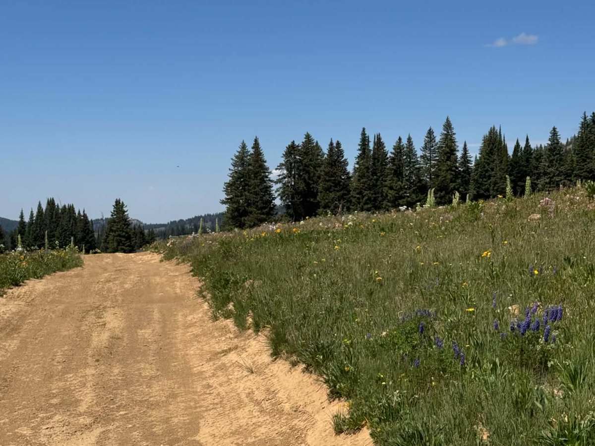Blue Lake Trail photo 2