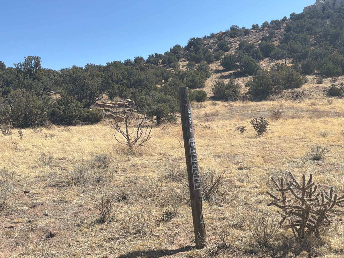 BLM 5935E photo 2
