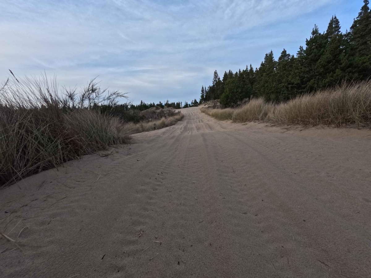 10 Mile OHV Trail photo 5