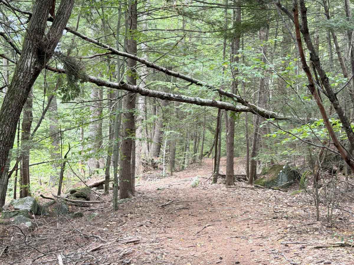 Sawyer Road trail photo