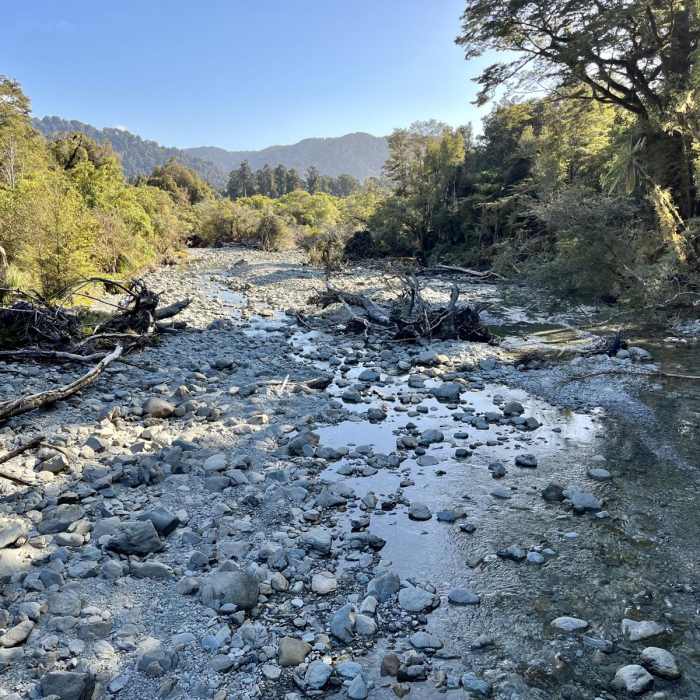 Near Monro Beach Walk Near Monro Beach Walk