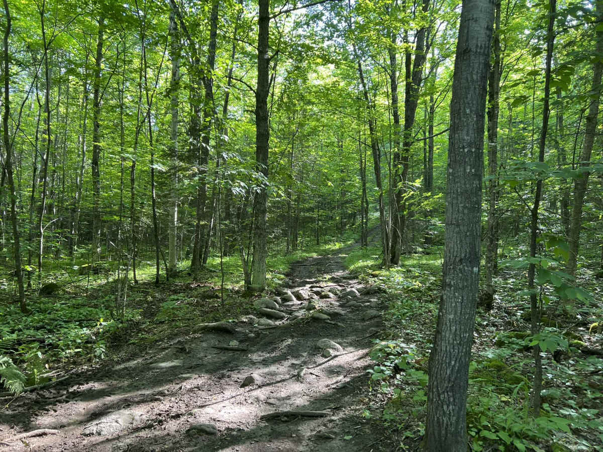 Forest County ATV/ SxS Area Hill Climb Access trail photo