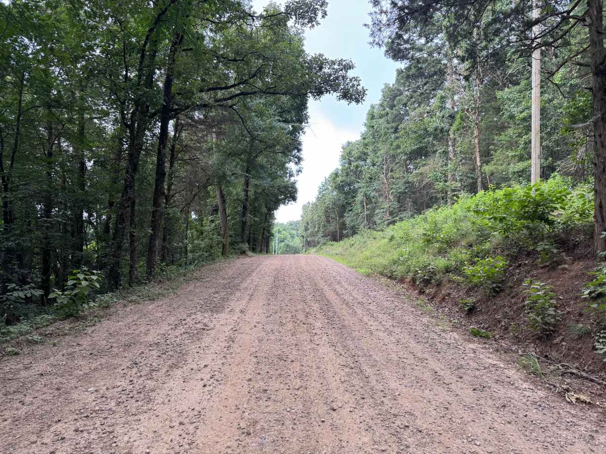 County Road 3091 photo 2