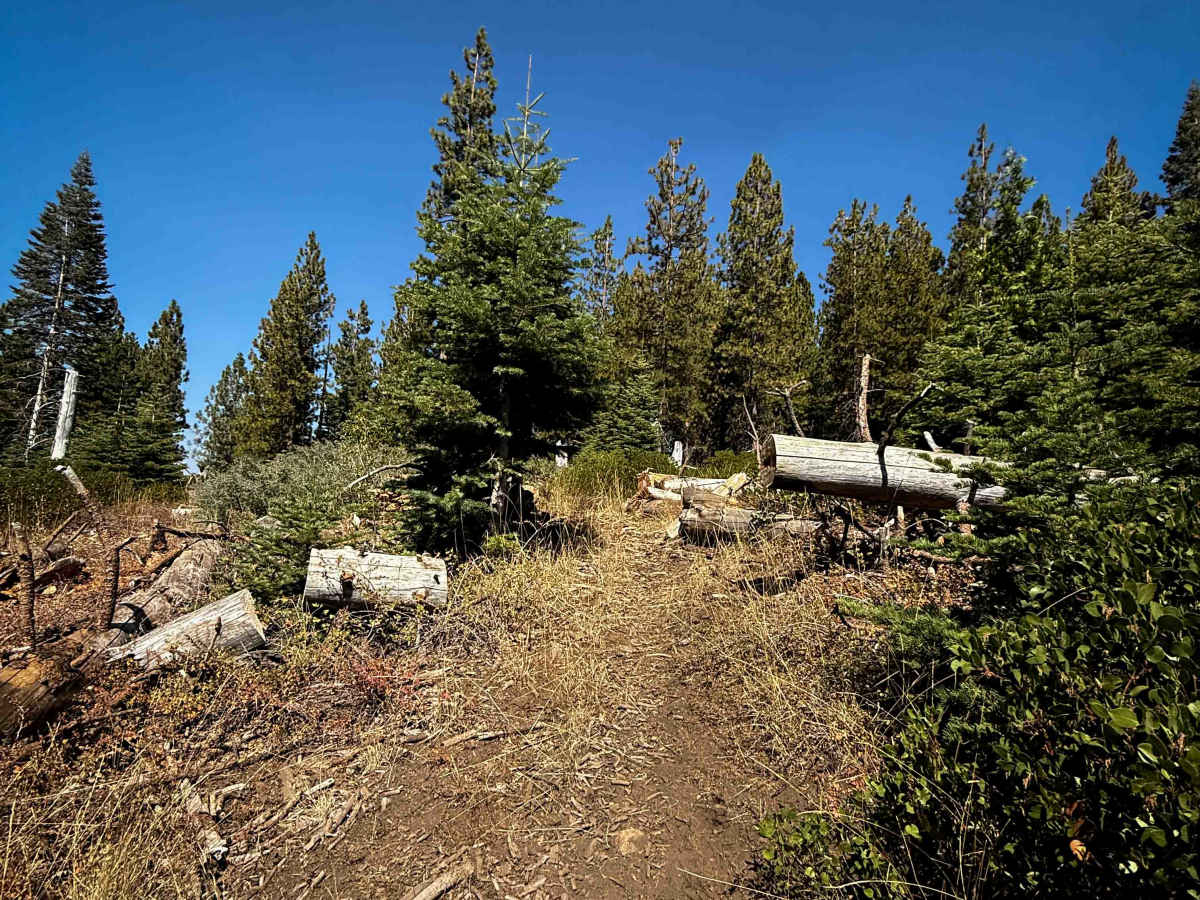 17EV91 trail photo