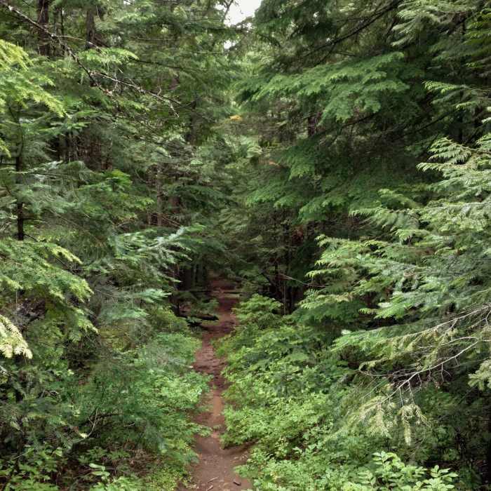 Near Idaho Trail #58