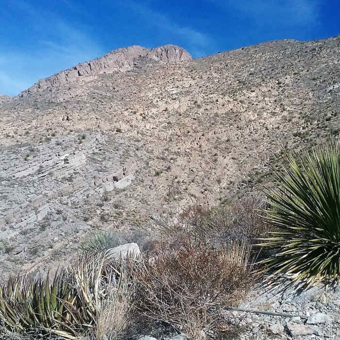 Near Thousand Steps Trail