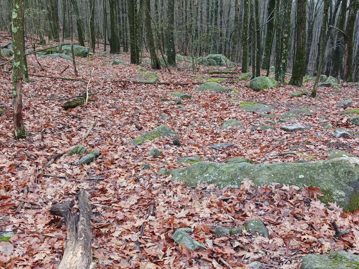 OHV 38 - Rock Run Recreation Area trail photo