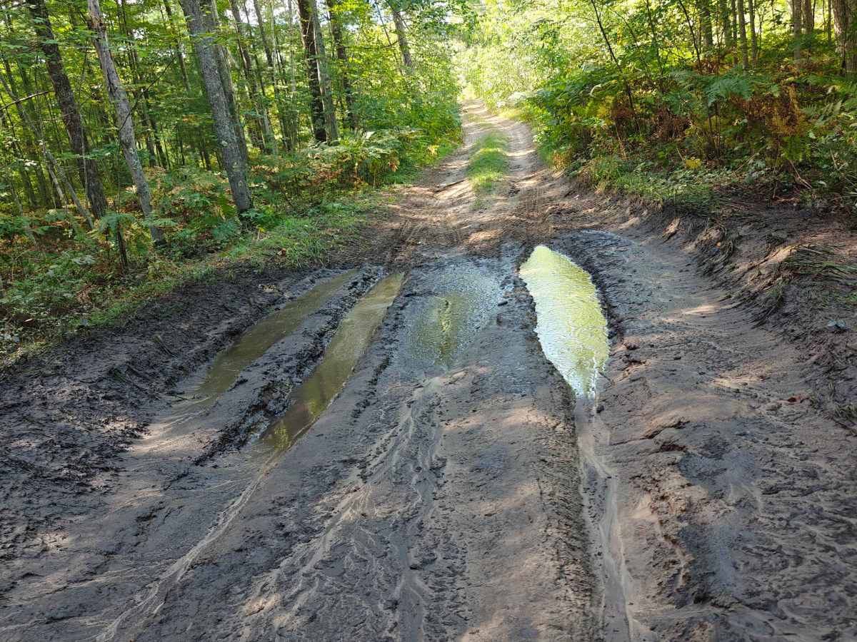 West Greenwood Trail photo 5