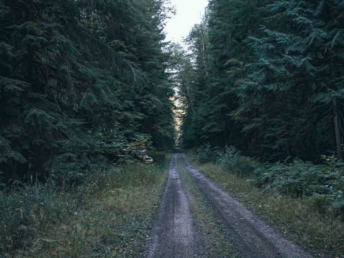 Ames Creek photo 5