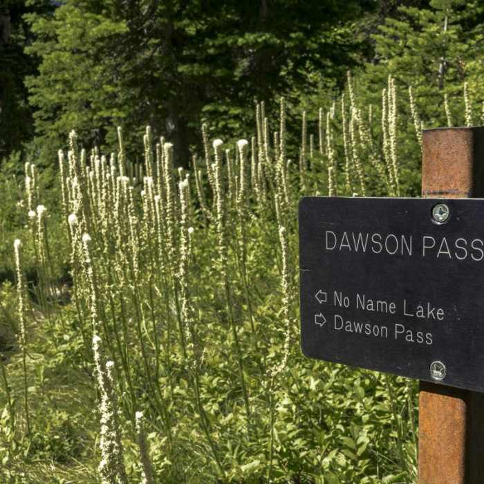 Near No Name Lake Hike