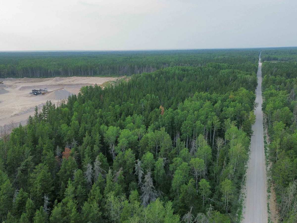 Agassiz Road photo 4