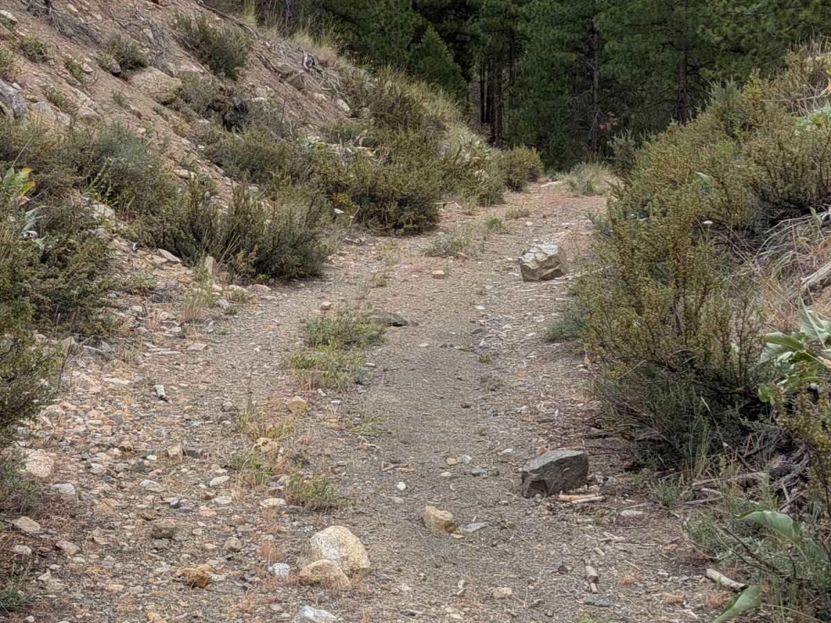 FS 4150-280 trail photo