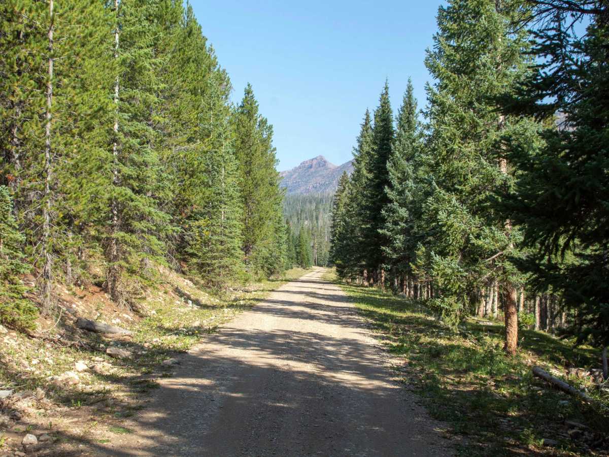 South Fork Rock Creek - FS 10143 photo 2