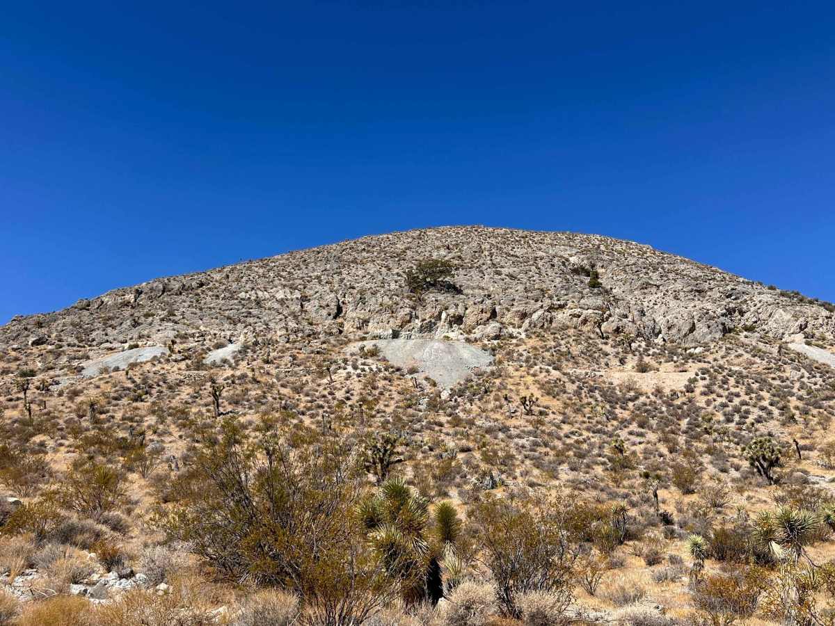 Desert Bloom Loop trail photo