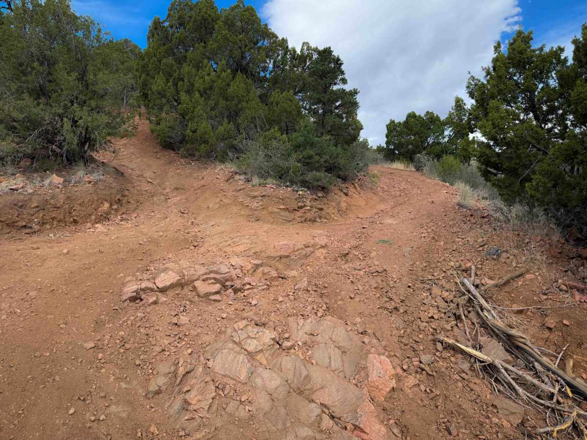 Tanner Peak Trail - FS 1333  photo 6