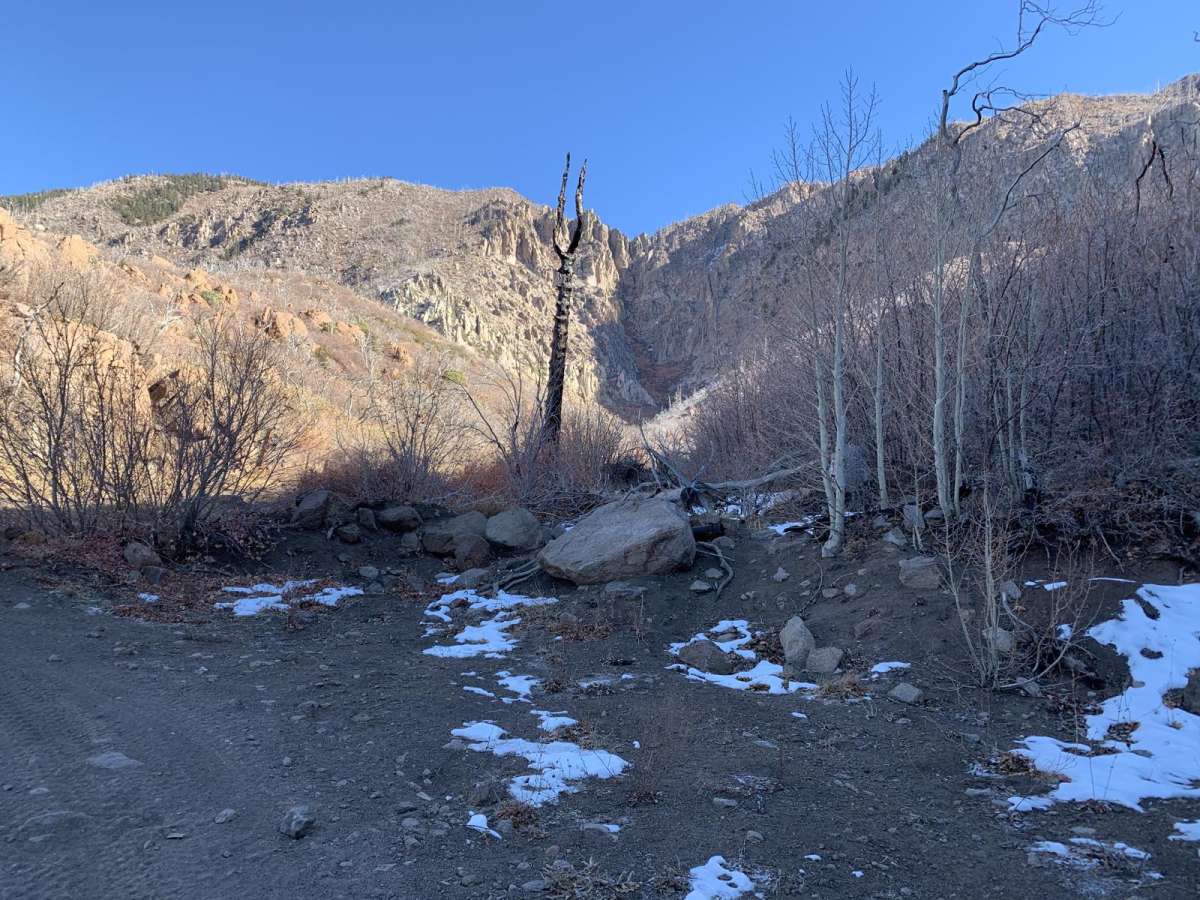 Diamond Valley-Lone Pine-Cottonwood Loop photo 6