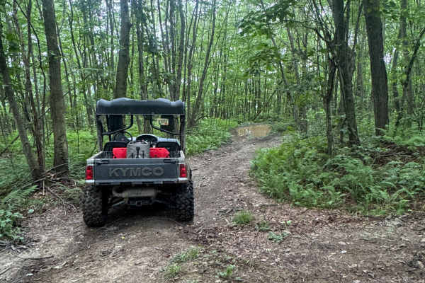 Trail 84