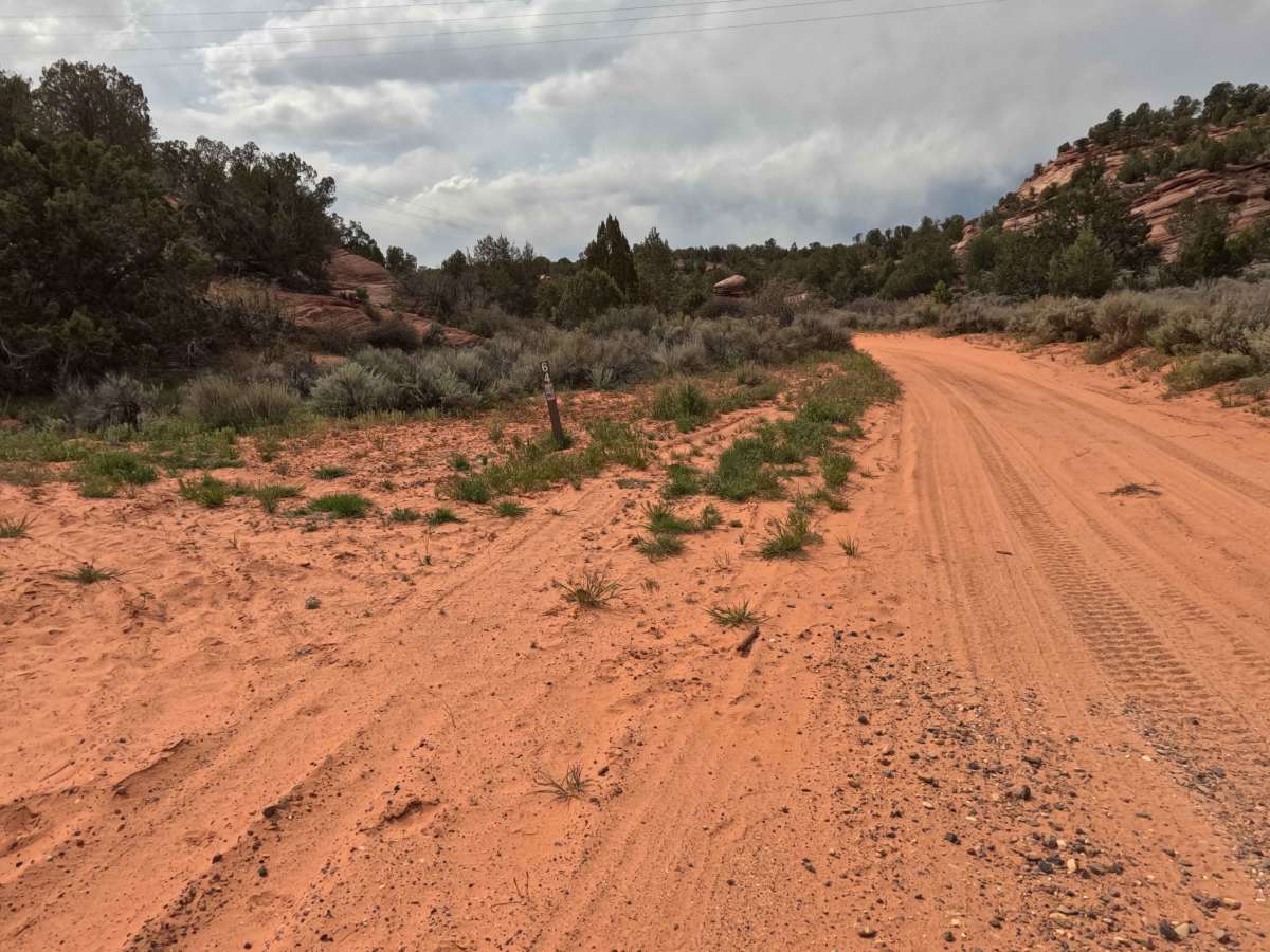 BLM 64 photo 3