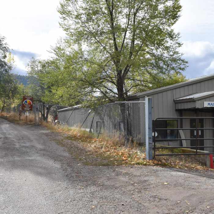 Near Pengelly Trail to Sentinel Summit