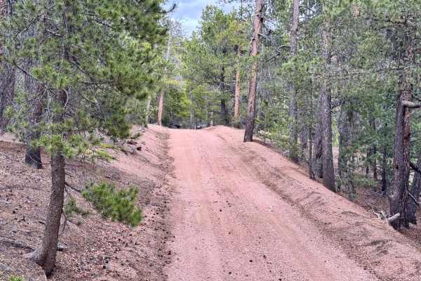 Saylor Park Rd FS 325