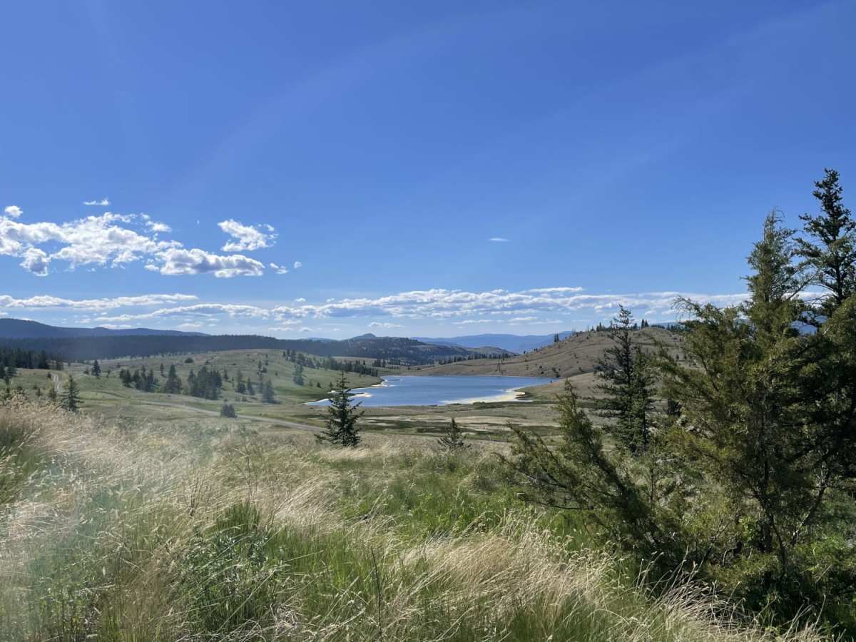 Greenstone Mtn Lookout to Tunkwa Lake Rd photo 4