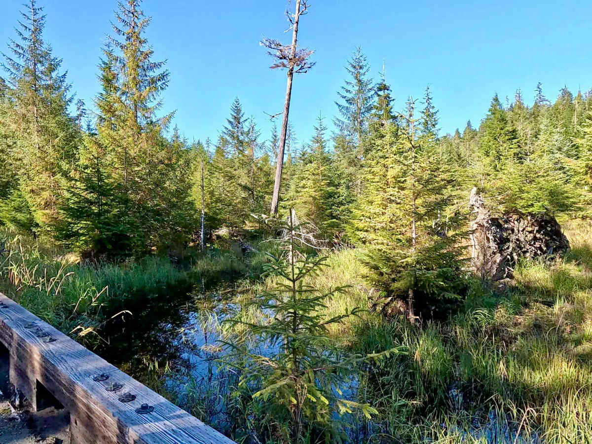 Snakey Lakes River Road - FS 3015200 photo 5